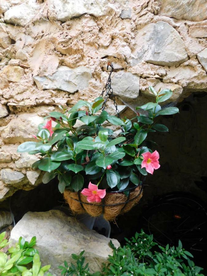 La Maison Jules Goux Bed and Breakfast Mirmande Exterior foto